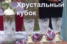 ’рустальный кубок 2011
